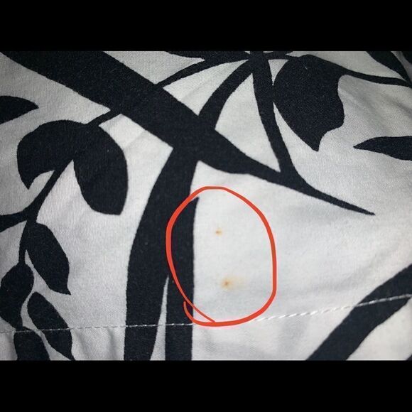 Avenue Shirt  - Picture 7 of 7